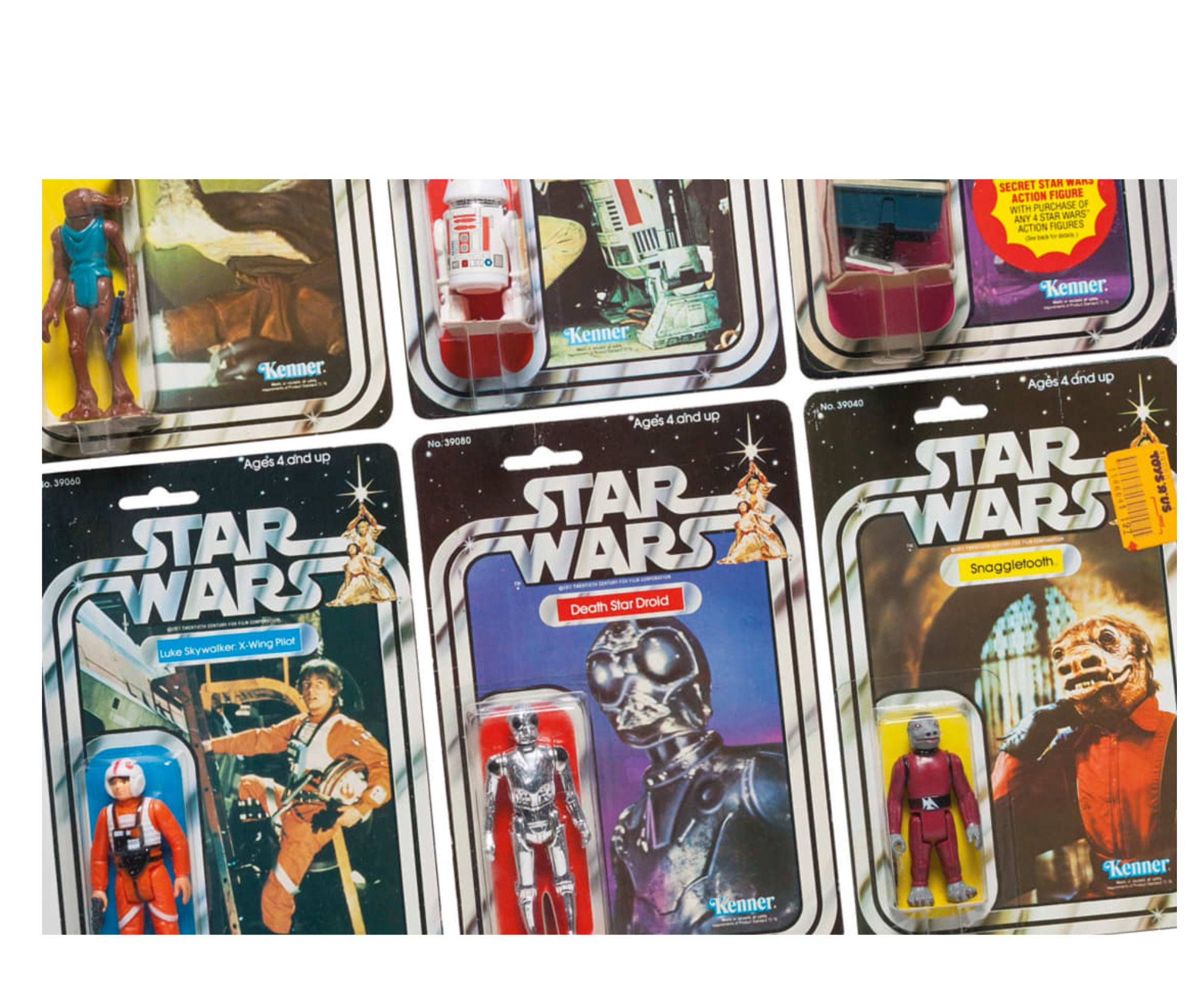 Collectibles & Pop Culture